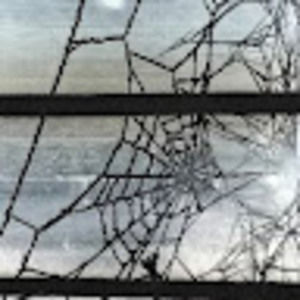 Meet your Posher, Raymond